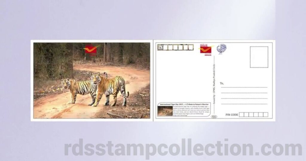 Tiger-themed picture postcard released by Madhya Pradesh Postal Circle on International Tiger Day 2025 - 1