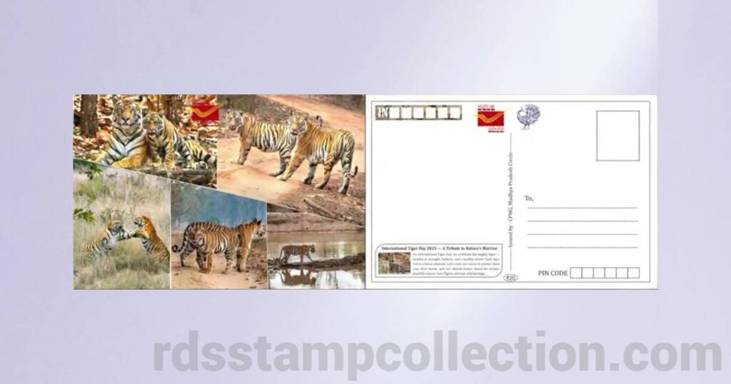 Tiger-themed picture postcard released by Madhya Pradesh Postal Circle on International Tiger Day 2025 - 10
