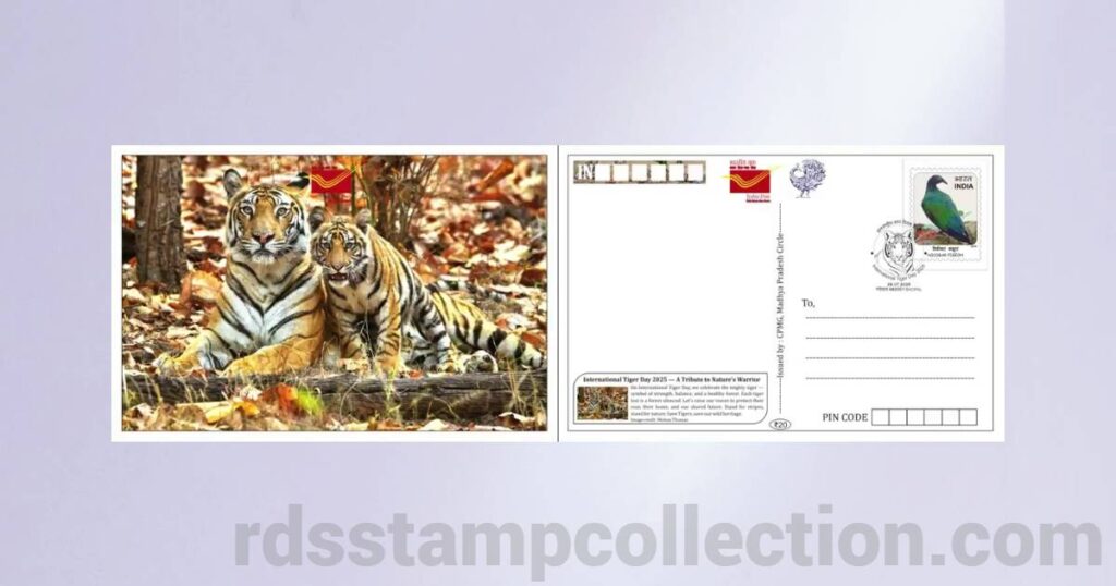 Tiger-themed picture postcard released by Madhya Pradesh Postal Circle on International Tiger Day 2025 - 11