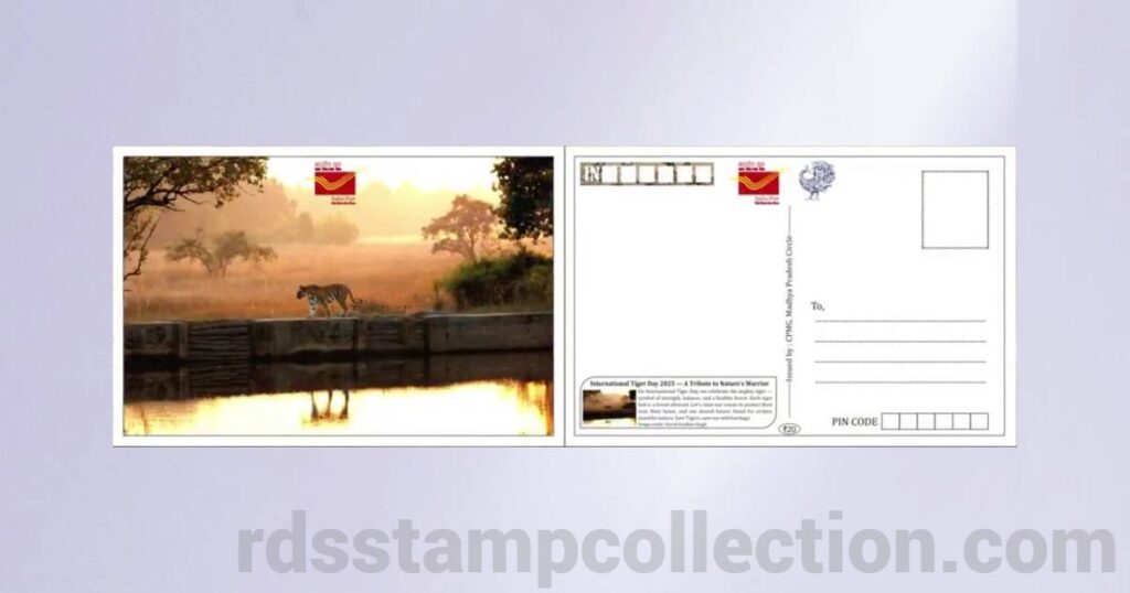 Tiger-themed picture postcard released by Madhya Pradesh Postal Circle on International Tiger Day 2025 - 2