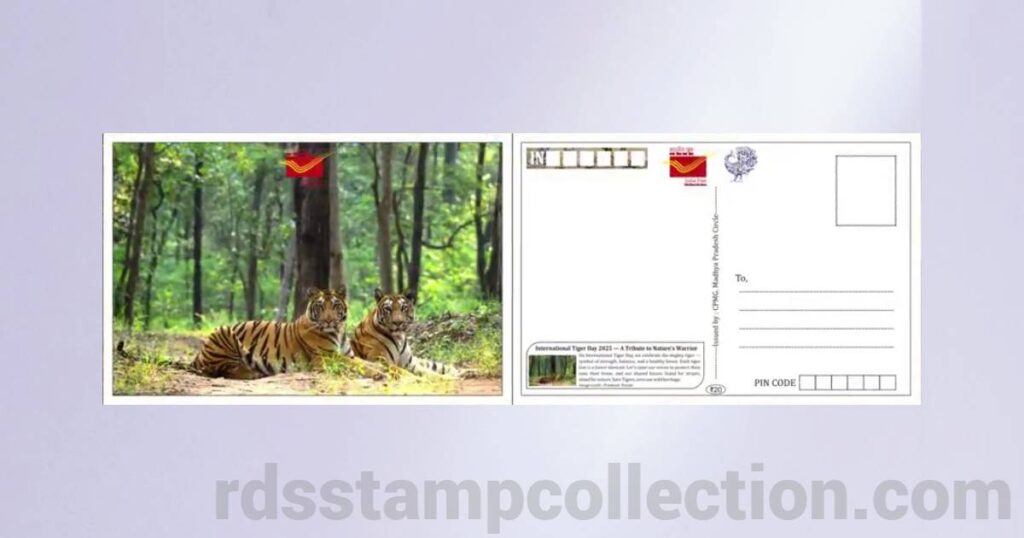Tiger-themed picture postcard released by Madhya Pradesh Postal Circle on International Tiger Day 2025 - 3