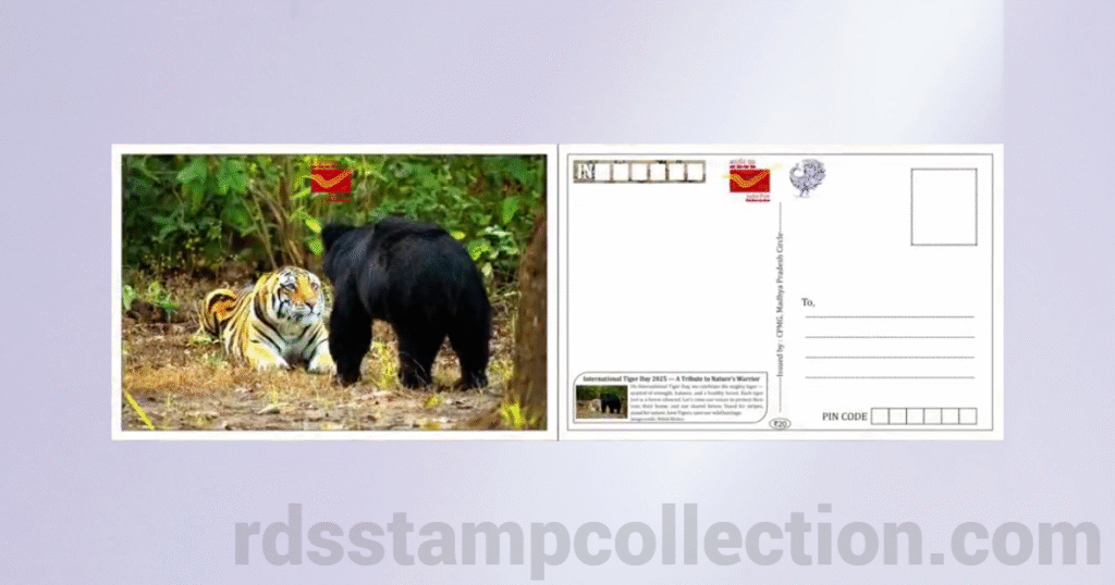 Tiger-themed picture postcard released by Madhya Pradesh Postal Circle on International Tiger Day 2025 - 4
