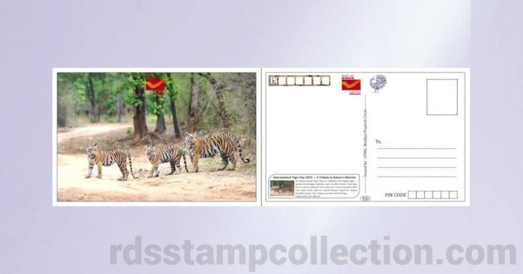Tiger-themed picture postcard released by Madhya Pradesh Postal Circle on International Tiger Day 2025 - 6