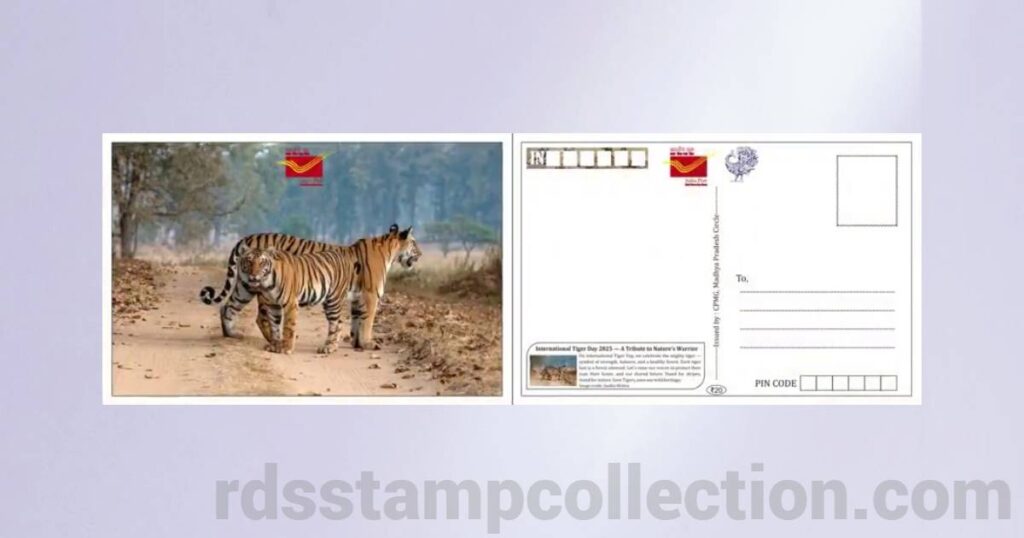 Tiger-themed picture postcard released by Madhya Pradesh Postal Circle on International Tiger Day 2025 - 7