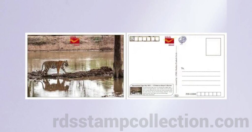 Tiger-themed picture postcard released by Madhya Pradesh Postal Circle on International Tiger Day 2025 - 8
