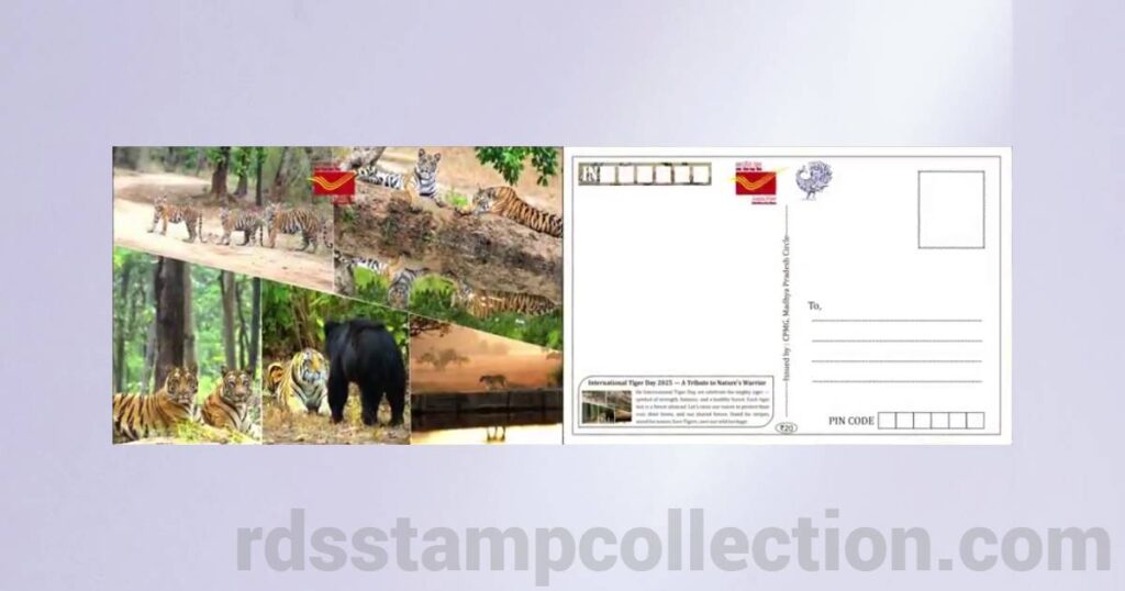 Tiger-themed picture postcard released by Madhya Pradesh Postal Circle on International Tiger Day 2025 - 9