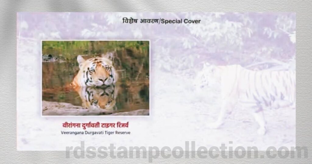 Special Cover released on Veerangana Durgavati Tiger Reserve by Madhya Pradesh Postal Circle to mark International Tiger Day