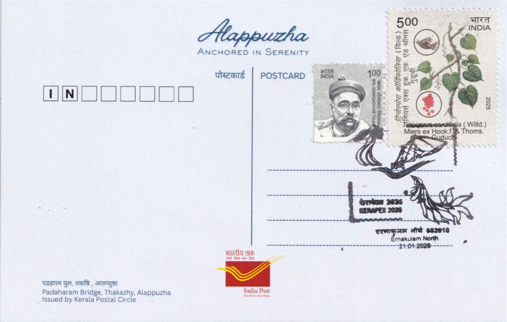 Reverse side of the Padaharamp Bridge, Thakazhy postcard with KERAPEX 2026 pictorial cancellation from Ernakulam North.