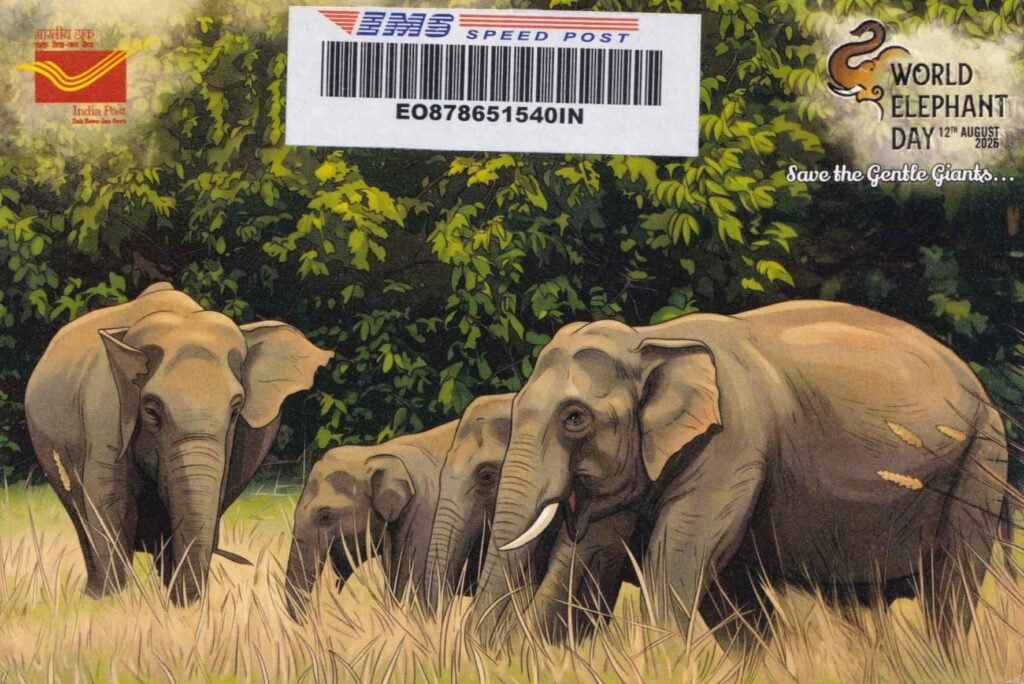 Embossed picture postcard issued for World Elephant Day 2026, featuring a herd of elephants and the message “Save the Gentle Giants”.
