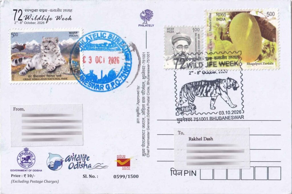 Reverse of the 72nd Wildlife Week 2026 Picture Postcard, showing the tiger-themed Special Cancellation dated 3 October 2026, Bhubaneswar.